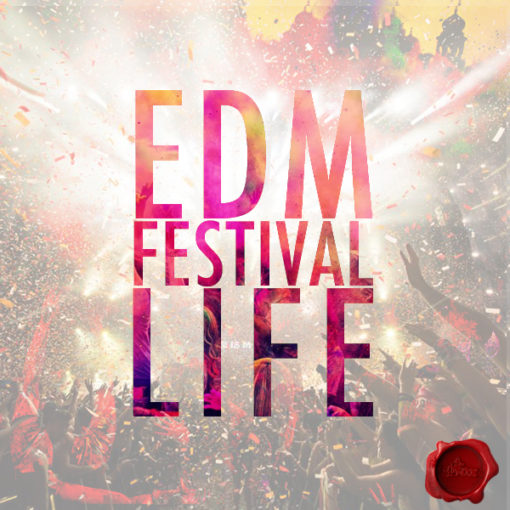 edm-festival-life-cover600