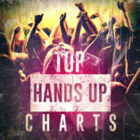 top-hands-up