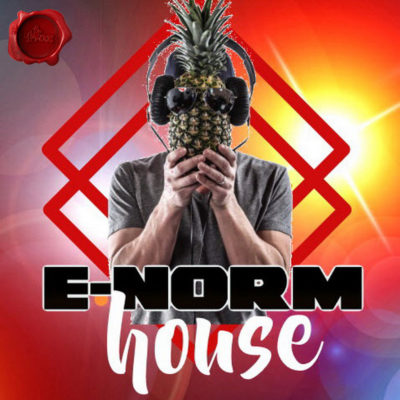 e-norm-house